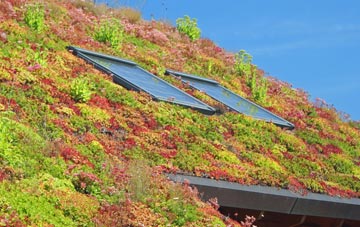 Ardingly living roof systems