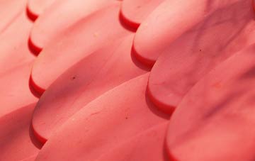 Ardingly plastic roof costs